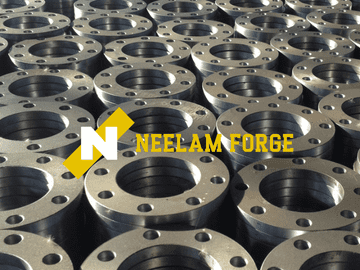 SS Flange Manufacturer in Vapi