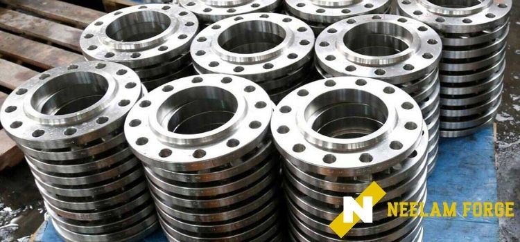 Stainless Steel Flange Manufacturer in Vapi