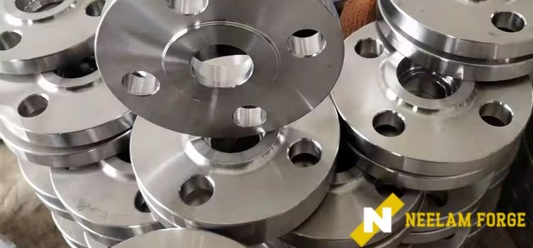 Stainless Steel Flange Manufacturer in Jaipur