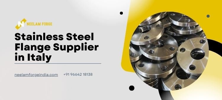Stainless Steel Flange Supplier in Italy Stainless Steel Flange Supplier in Italy