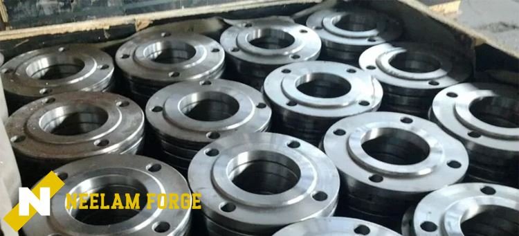 Stainless Steel Flange Supplier in Singapore