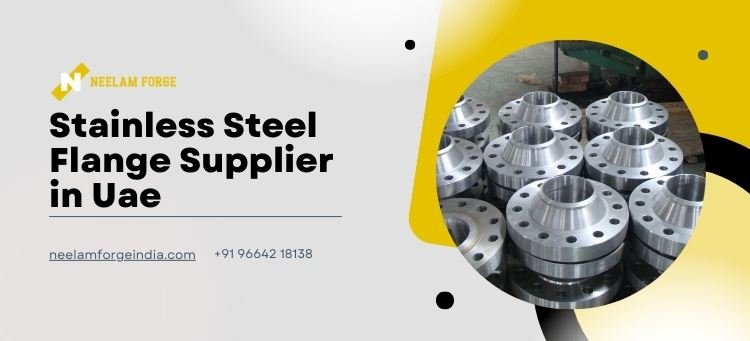 Stainless Steel Flange Supplier in UAE Stainless Steel Flange Supplier in UAE