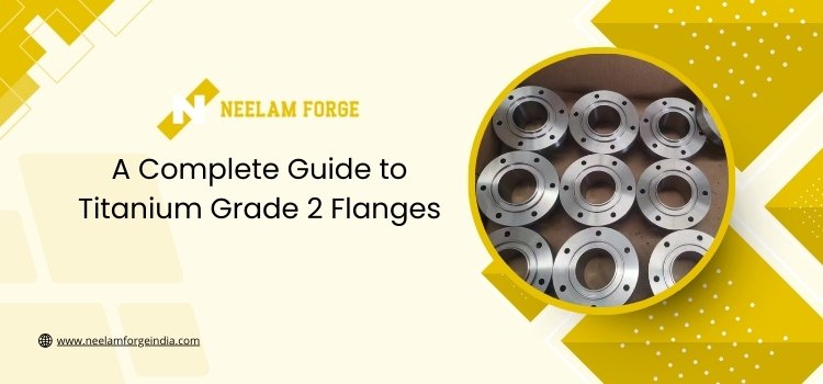 A Complete Guide to Titanium Grade 2 Flanges