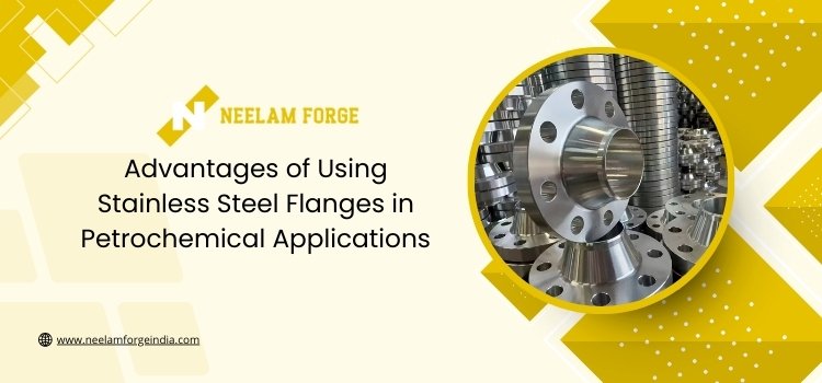 Advantages of Using Stainless Steel Flanges in Petrochemical Applications