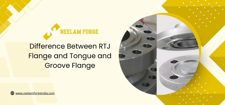 Difference Between RTJ Flange and Tongue and Groove Flange