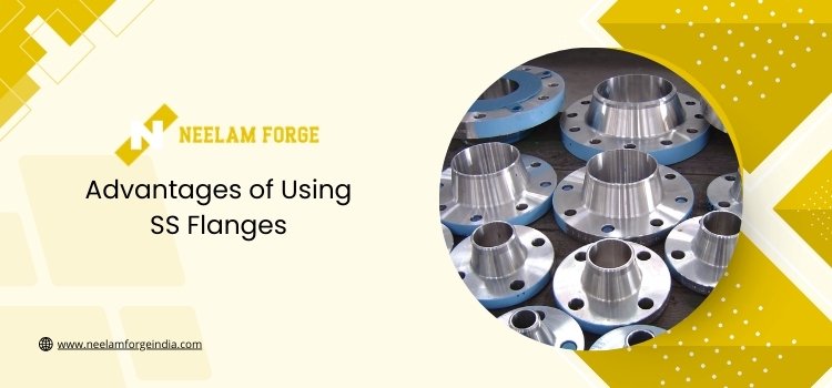 Advantages of Using SS Flanges